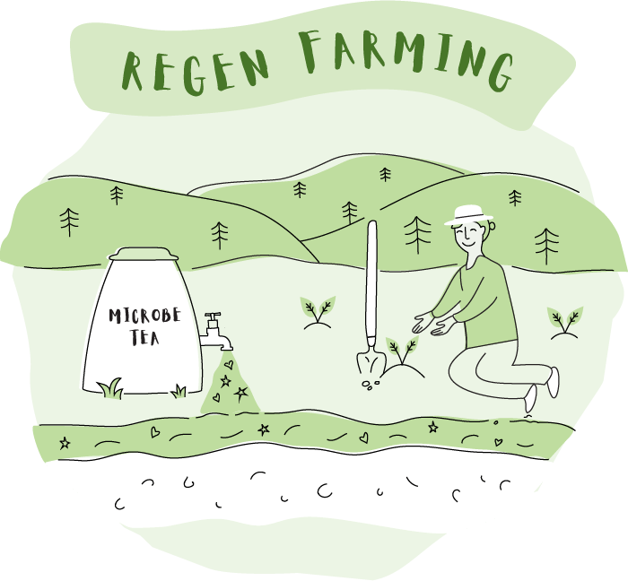 Illustration of regen farming